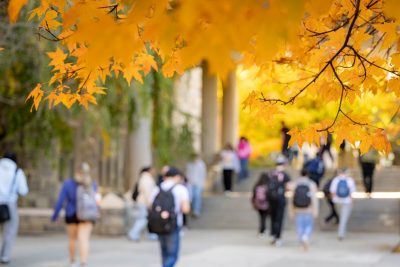 Yellow autumn leaves frame a picture of students walking on campus.